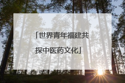 世界青年福建共探中医药文化