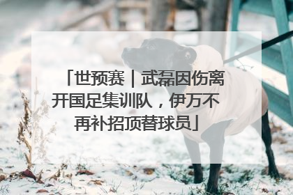 世预赛｜武磊因伤离开国足集训队，伊万不再补招顶替球员
