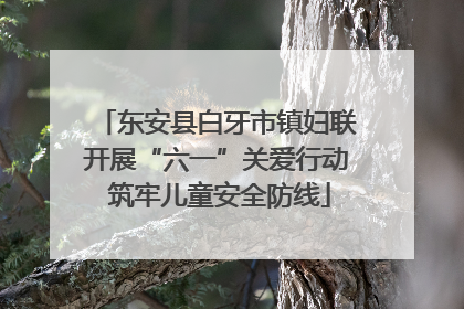 东安县白牙市镇妇联开展“六一”关爱行动 筑牢儿童安全防线