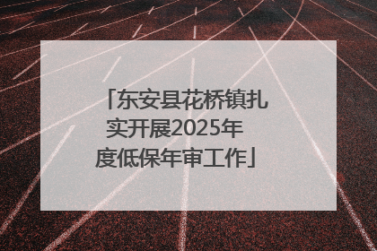 东安县花桥镇扎实开展2025年度低保年审工作