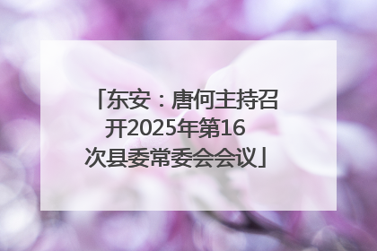 东安：唐何主持召开2025年第16次县委常委会会议
