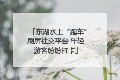 东湖水上“跑车”刷屏社交平台 年轻游客纷纷打卡