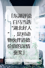 东湖评论：白马当选“湖北好人”，是对动物伙伴道德价值的深情褒奖