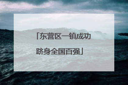 东营区一镇成功跻身全国百强