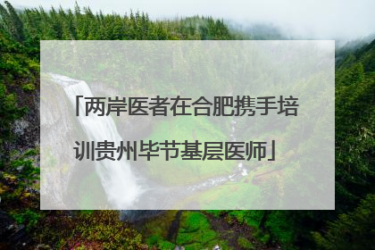 两岸医者在合肥携手培训贵州毕节基层医师