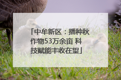 中牟新区：播种秋作物53万余亩 科技赋能丰收在望