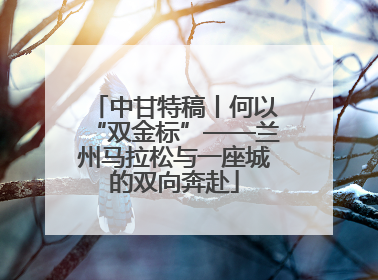 中甘特稿丨何以“双金标”——兰州马拉松与一座城的双向奔赴
