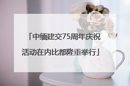 中缅建交75周年庆祝活动在内比都隆重举行