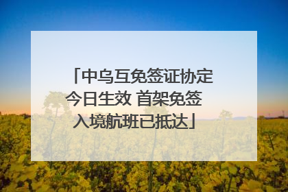 中乌互免签证协定今日生效 首架免签入境航班已抵达