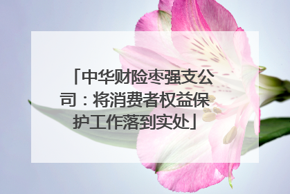 中华财险枣强支公司：将消费者权益保护工作落到实处