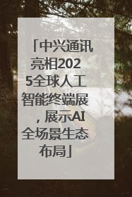 中兴通讯亮相2025全球人工智能终端展，展示AI全场景生态布局