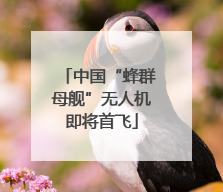 中国“蜂群母舰”无人机即将首飞