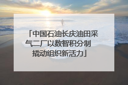 中国石油长庆油田采气二厂以数智积分制 撬动组织新活力