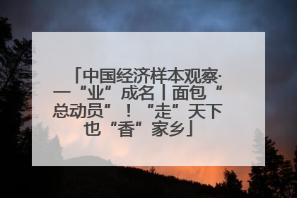 中国经济样本观察·一“业”成名丨面包“总动员”！“走”天下也“香”家乡