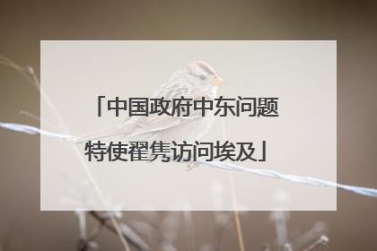 中国政府中东问题特使翟隽访问埃及