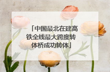 中国最北在建高铁全线最大跨度转体桥成功转体
