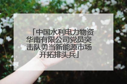 中国水利电力物资华南有限公司党员突击队勇当新能源市场开拓排头兵