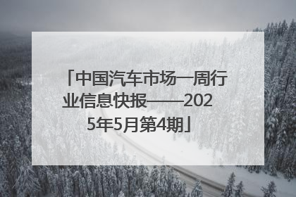 中国汽车市场一周行业信息快报——2025年5月第4期