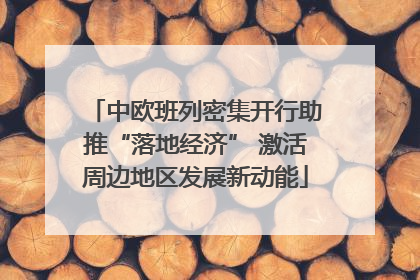 中欧班列密集开行助推“落地经济” 激活周边地区发展新动能