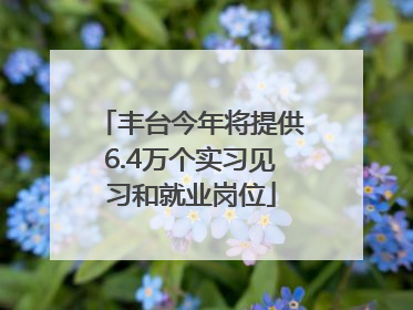 丰台今年将提供6.4万个实习见习和就业岗位