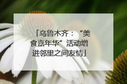 乌鲁木齐：“美食嘉年华”活动增进邻里之间友情