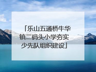 乐山五通桥牛华镇二码头小学夯实少先队组织建设