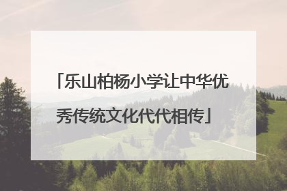 乐山柏杨小学让中华优秀传统文化代代相传
