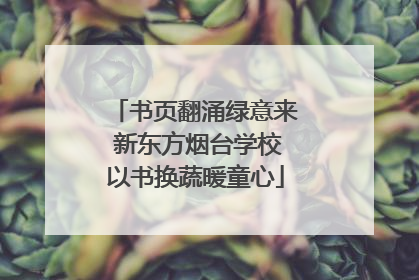 书页翻涌绿意来 新东方烟台学校以书换蔬暖童心