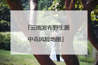 云南发布野生菌中毒风险地图