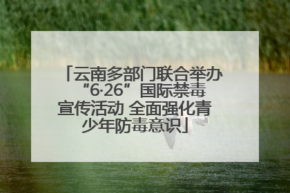 云南多部门联合举办“6·26”国际禁毒宣传活动 全面强化青少年防毒意识