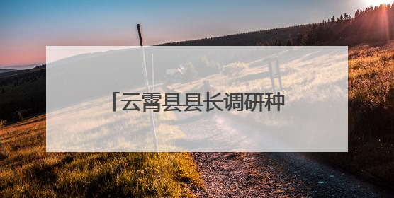 云霄县县长调研种养加一体化工作