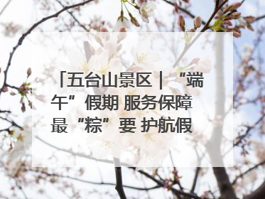 五台山景区｜“端午”假期 服务保障最“粽”要 护航假期“不打烊”