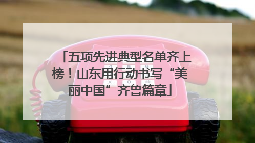 五项先进典型名单齐上榜！山东用行动书写“美丽中国”齐鲁篇章
