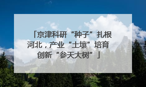 京津科研“种子”扎根河北，产业“土壤”培育创新“参天大树”