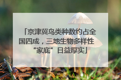 京津冀鸟类种数约占全国四成，三地生物多样性“家底”日益厚实