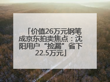 价值26万元钢笔成京东拍卖焦点：沈阳用户“捡漏”省下22.5万元