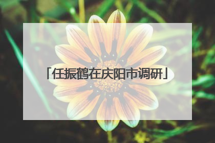 任振鹤在庆阳市调研
