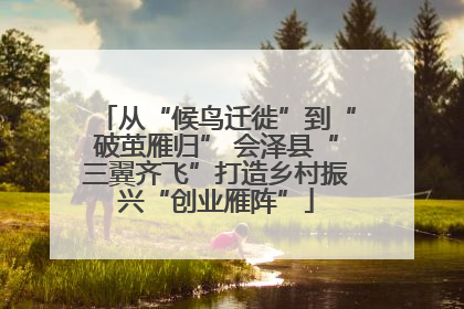 从“候鸟迁徙”到“破茧雁归” 会泽县“三翼齐飞”打造乡村振兴“创业雁阵”