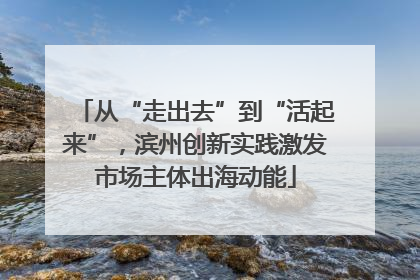 从“走出去”到“活起来”，滨州创新实践激发市场主体出海动能