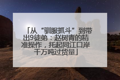 从“驯服抓斗”到带出9徒弟：赵树青的精准操作，托起同江口岸千万吨过货量