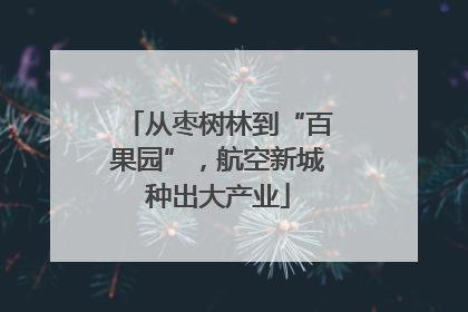 从枣树林到“百果园”，航空新城种出大产业