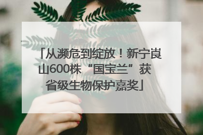 从濒危到绽放！新宁崀山600株“国宝兰”获省级生物保护嘉奖