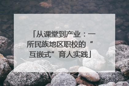 从课堂到产业：一所民族地区职校的“互嵌式”育人实践