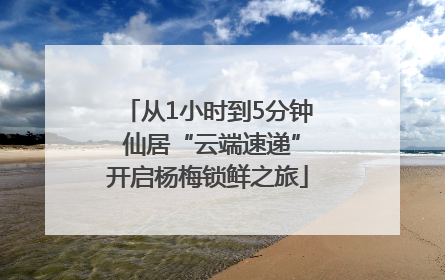 从1小时到5分钟 仙居“云端速递”开启杨梅锁鲜之旅