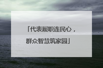 代表履职连民心，群众智慧筑家园
