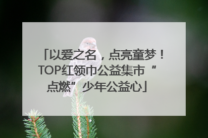 以爱之名，点亮童梦！TOP红领巾公益集市“点燃”少年公益心