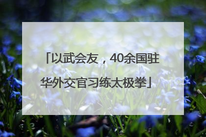 以武会友，40余国驻华外交官习练太极拳