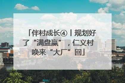 伴村成长④丨规划好了“满盘赢”，仁义村唤来“大厂”回