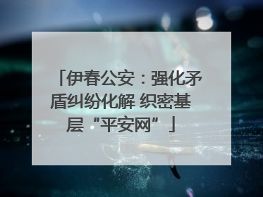 伊春公安：强化矛盾纠纷化解 织密基层“平安网”