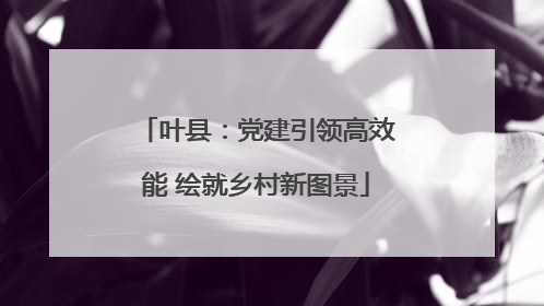 叶县：党建引领高效能 绘就乡村新图景